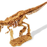 Dino Kit Tyrannosaurus - Imagen 2
