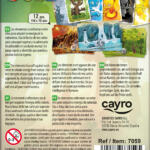 ELEMENTAL DUEL - Imagen 4